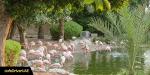 National Parks dubai